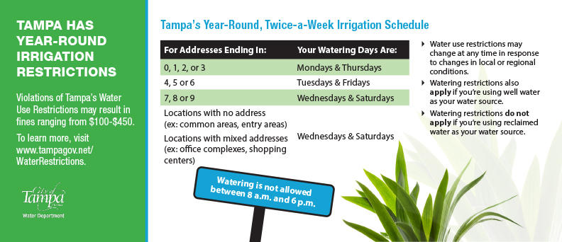 Tampa has year round irrigation restrictions
