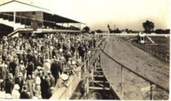 Greyhound Race Track