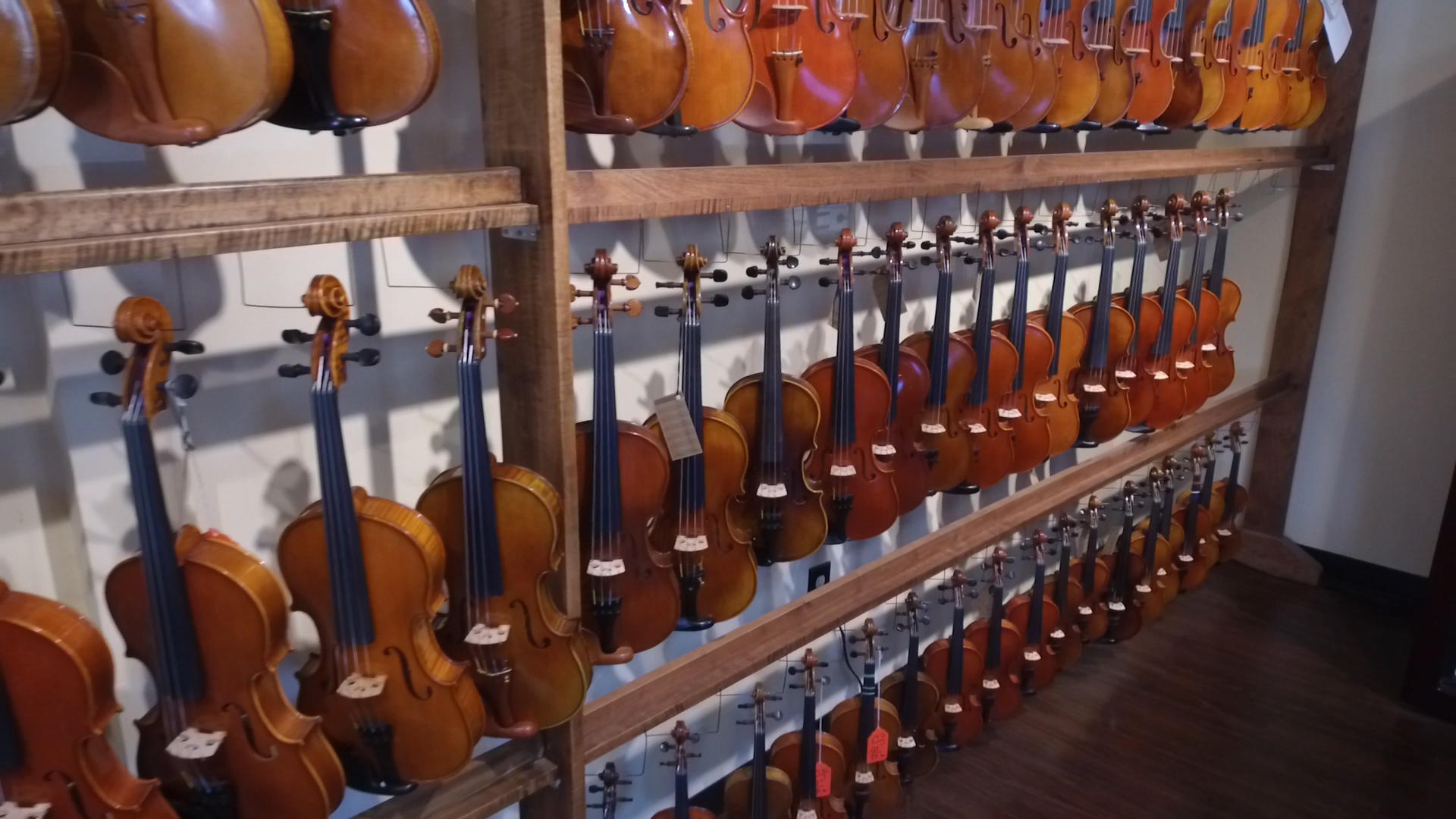 Violins at The Violin Shop in Tampa