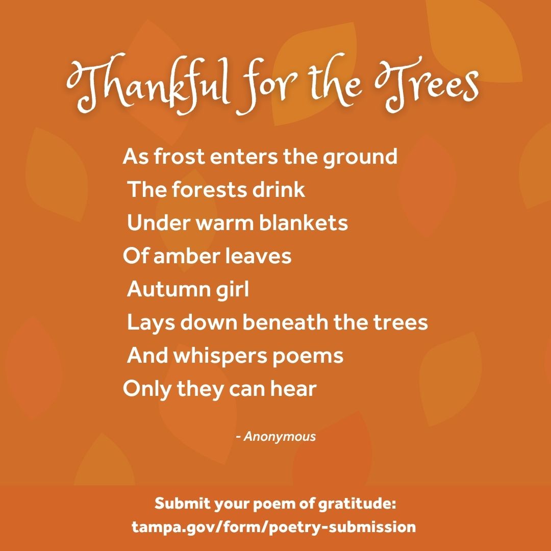 Gratitude Poem