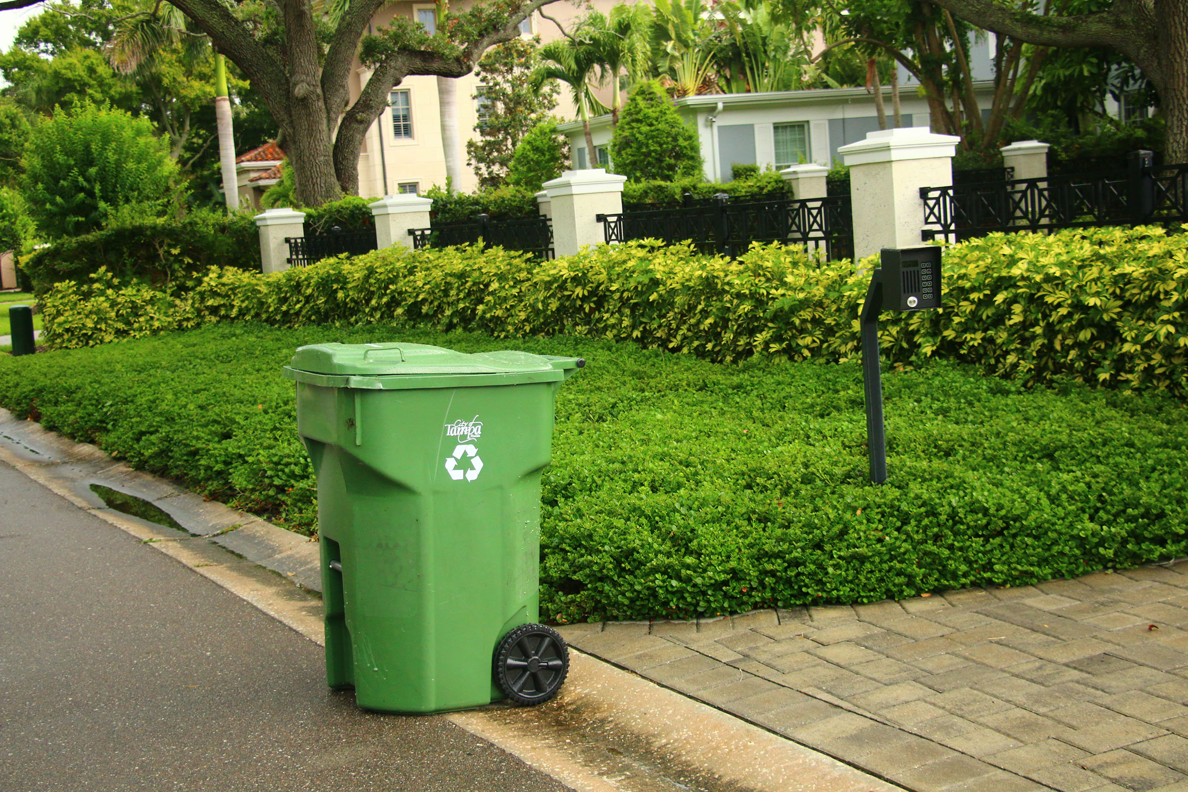 Recycling cart at the curb
