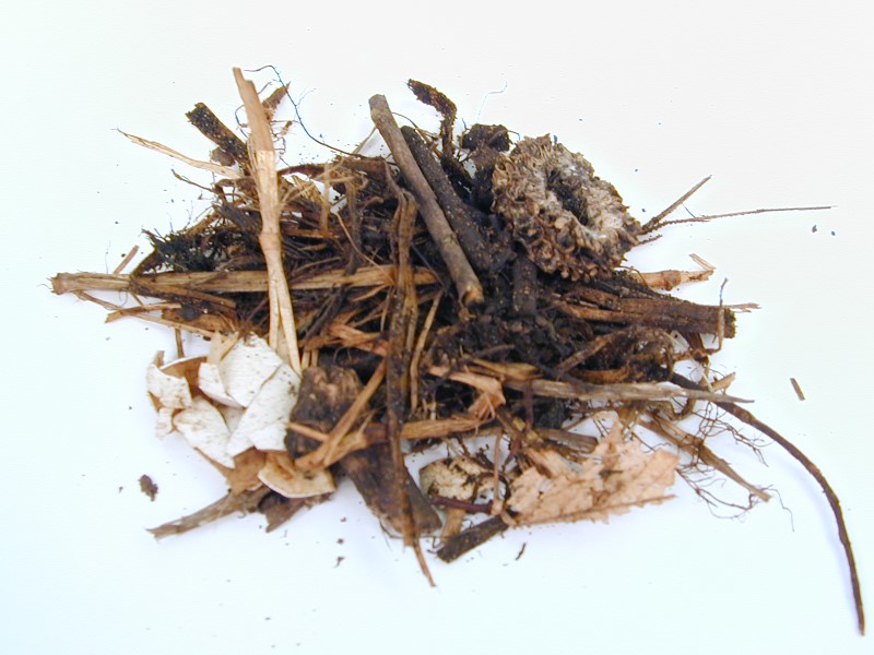 Pile of sticks, dry leaves, and other brown items