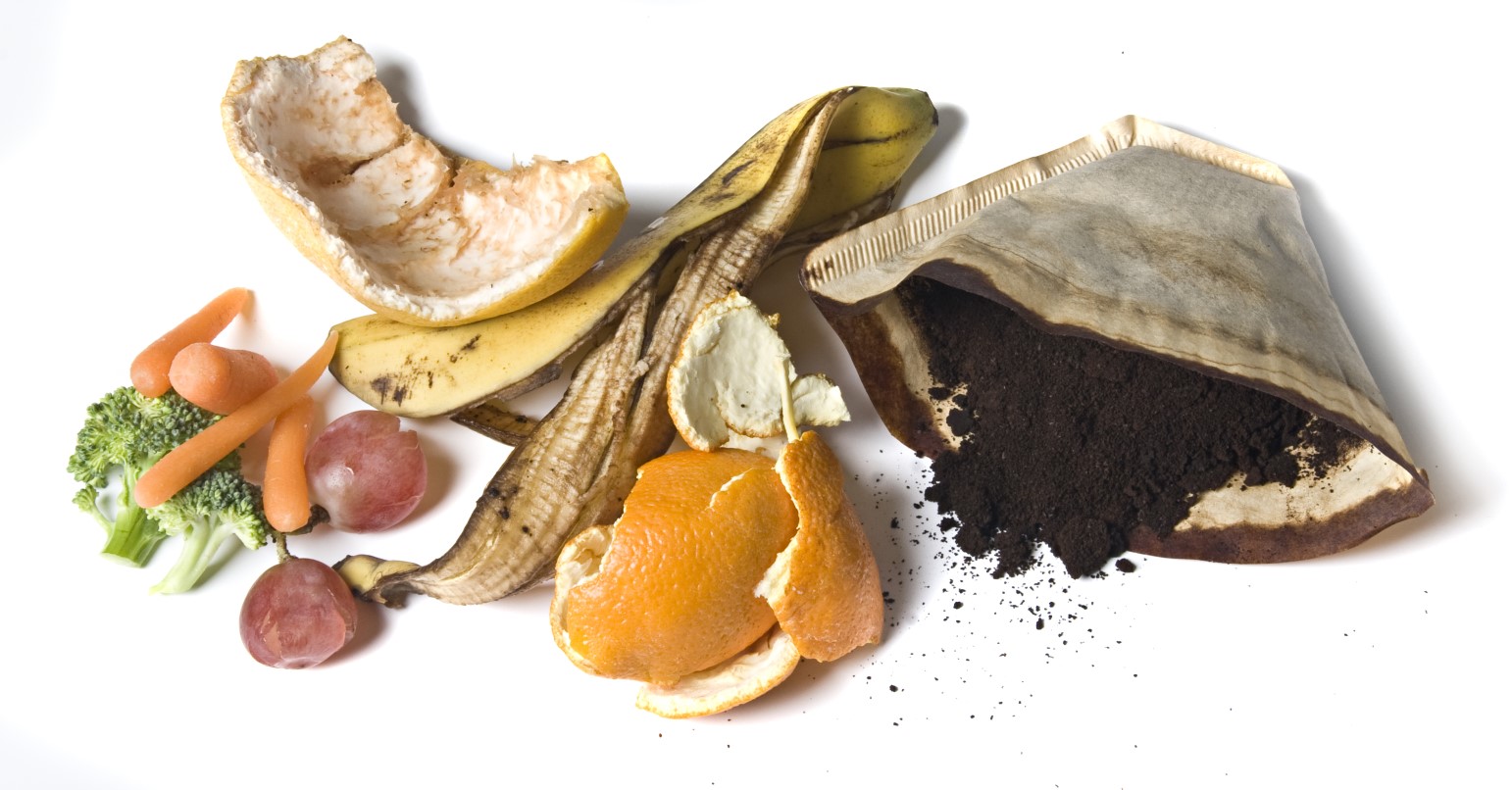 Food scraps like orange peels, coffee filters, other veggies scraps over a white background