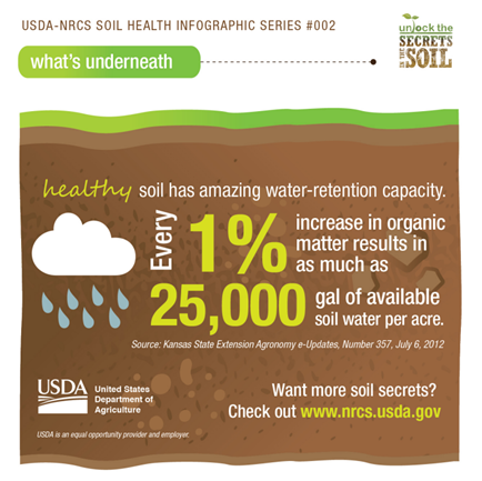 infographic depicting the benefits of healthy soil with additional organic matter