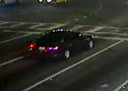 hit and run suspect 1