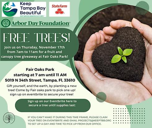 Keep Tampa Bay Beautiful - Fruit and Canopy Tree Giveaway!