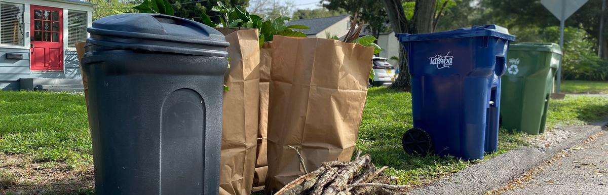 yard waste set out curbside for collection using a container, paper bags, and a bundle of twigs tied with twine. Blue trash cart and Green trash cart in the background of the photo.