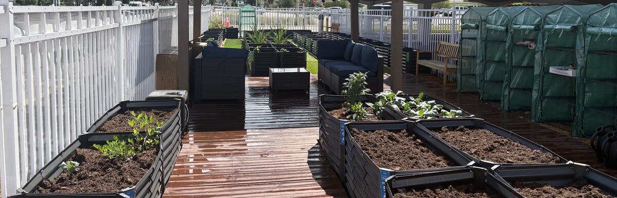 Outdoor garden with raised beds and a gazebo on a wooden deck, under a cloudy sky.