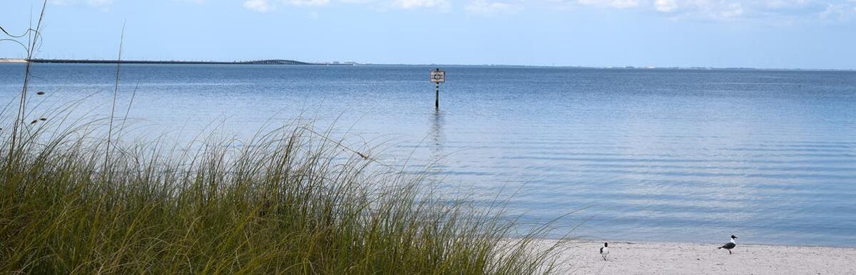Serene beach at Cypress Point Park with tall grass and calm water.