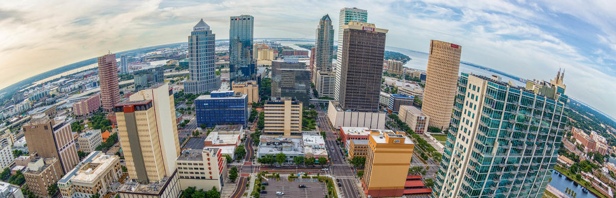 Downtown Tampa View