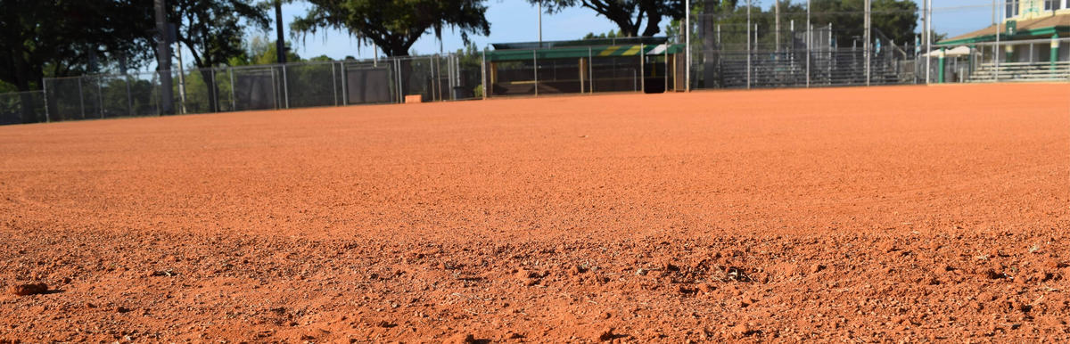 Ground Level View of Ballfield