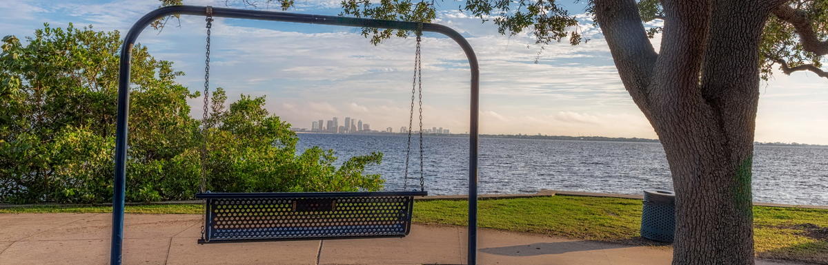 Swing with a View of Tampa