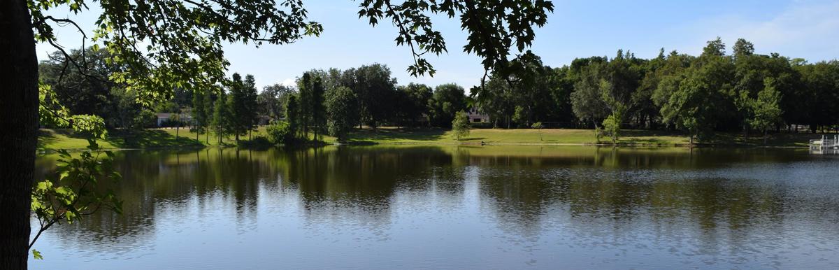 Takomah Trail Park Pond