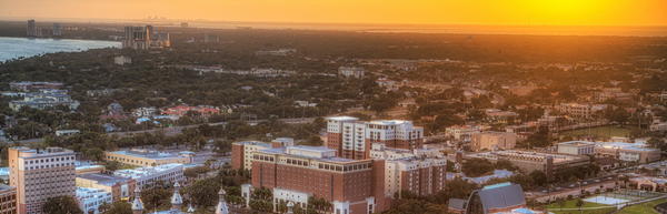 University of Tampa Orange Glow
