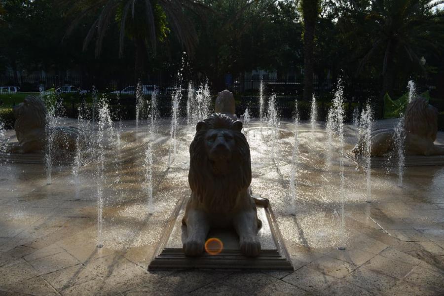 Lion shaped water feature with sun setting