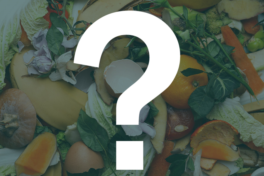 Food scraps with a big question mark on it