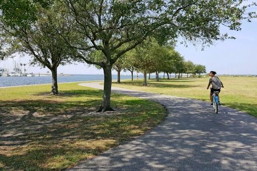 Scenic trail by the water with trees lining the path, person biking on a sunny day.