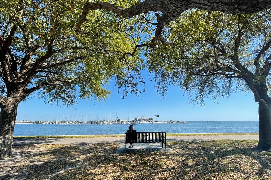 Person sitting on a bench under trees, overlooking a calm body of water, evoking tranquility.