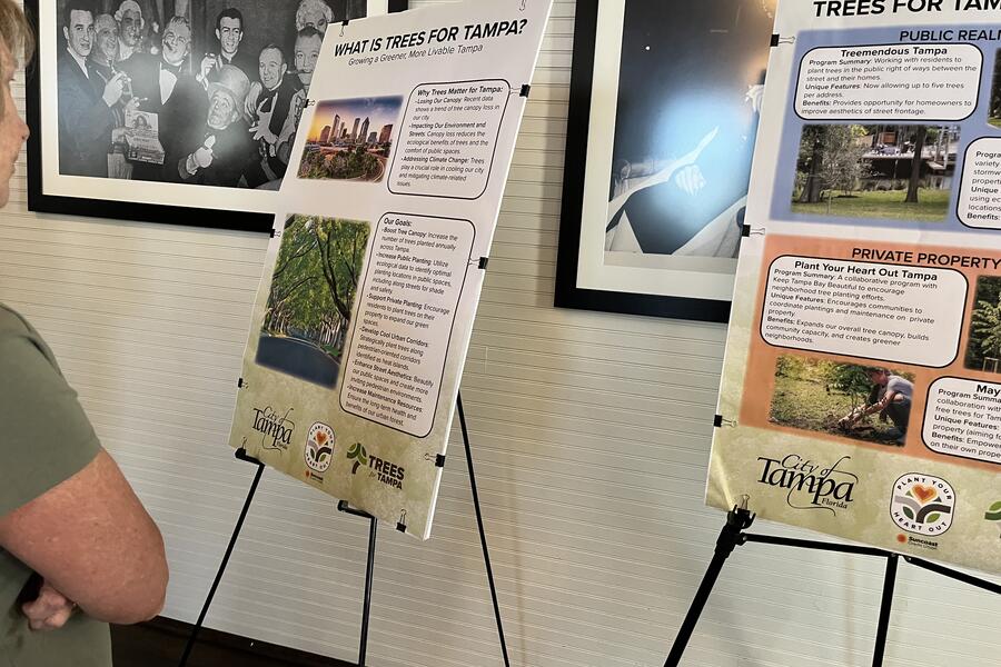 Two informational boards titled "Releaf" discuss growing trees in Tampa.