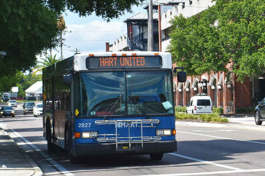 Transit bus on a tree-lined street, buildings in the background.