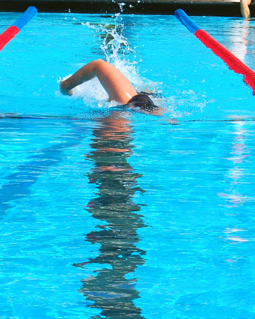 Adult swimming in lap lane
