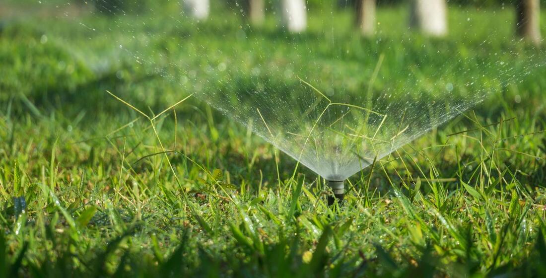 Tampa Urges Water Conservation As New Drought Restrictions Take Effect tampa-urges-water-conservation-as-new-drought-restrictions-take-effect