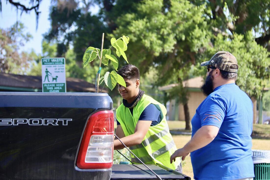 Tampa earns national recognition as Tree City USA | City of Tampa