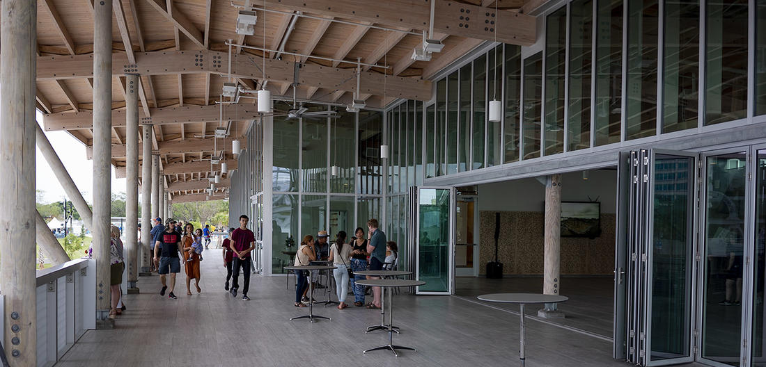 Julian B. Lane Riverfront Park City of Tampa