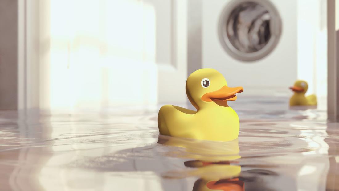 rubber duck on pooling water from washing machine