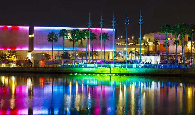 View of Curtis Hixon Park brightly light up