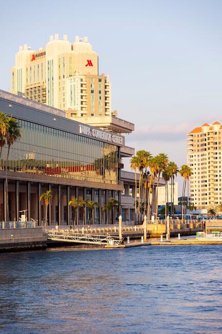 Waterfront view of a Tampa Convention Center and tall buildings, with palm trees lining the walkway.