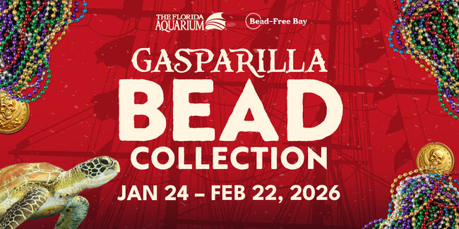 Gasparilla Bead Collection event graphic, featuring beads and a sea turtle, January 24-February 22, 2026.