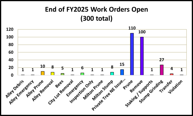 FY2025 open work orders bar chart with 300 total, highlighting Projects and Phone categories.