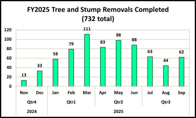 Bar chart showing FY2025 tree and stump removals by month, totaling 732.
