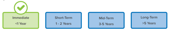 Implementation timeline with "Immediate less than 1 year" selected