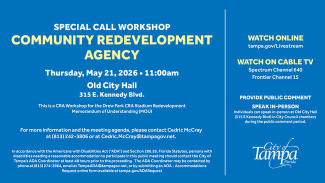 Special Call Workshop on Community Redevelopment, May 21, 2020, at Old City Hall.