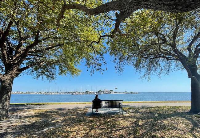 Person sitting on a bench under trees, overlooking a body of water, emphasizing natural resources.