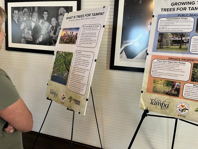 Two informational posters about trees on easels, viewed by a person in an indoor setting.