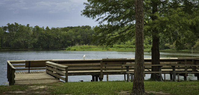 Lake with wooden deck surrounded by tree canopy under a cloudy sky.