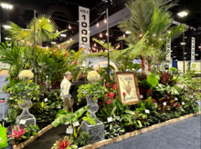 Plant display at Tropical Plant International Expo in Tampa Convention Center