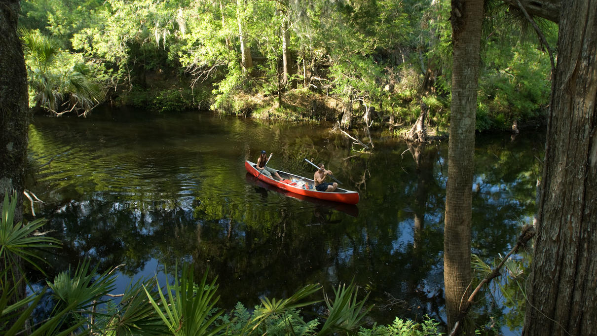 Canoe on the Hillsborough River