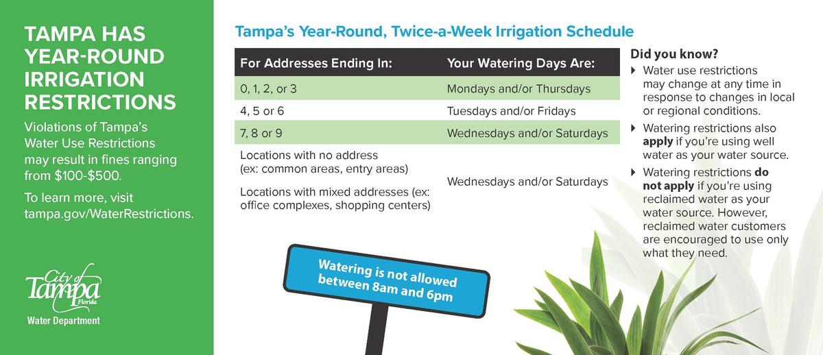 Tampa's Water Restrictions