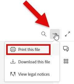 Screenshot of print icons